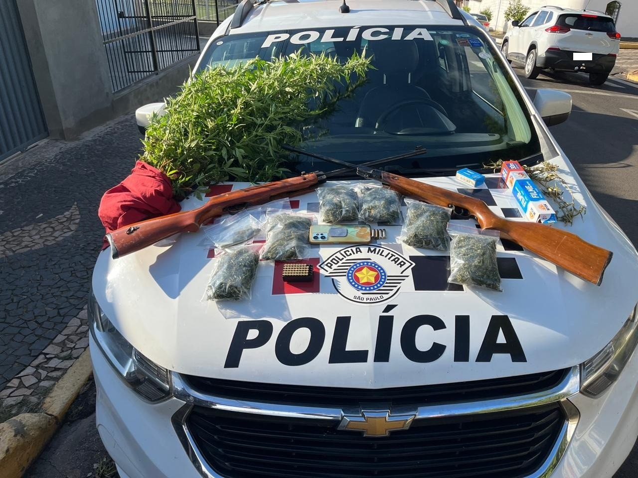 Polícia apreende pés de maconha e drogas escondidas em chácara de Itaporanga; um homem foi preso 