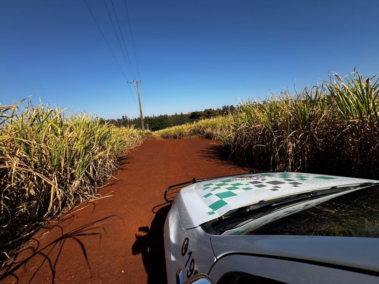 Perigo de vendaval: região de Piracicaba integra alerta do Inmet para ventos de 60 km/h; veja previsão 