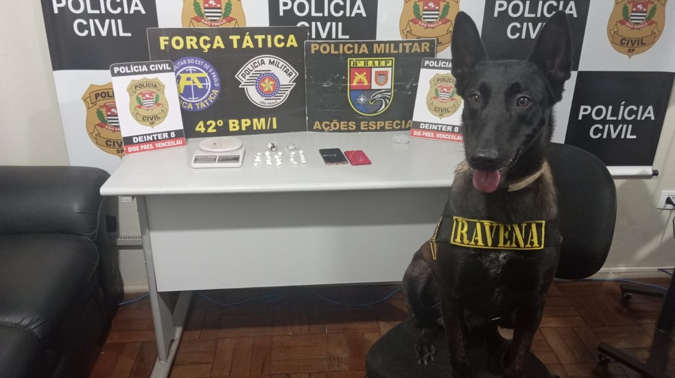 Porções de drogas foram apreendidas com irmãos em Presidente Epitácio (SP) — Foto: Polícia Civil