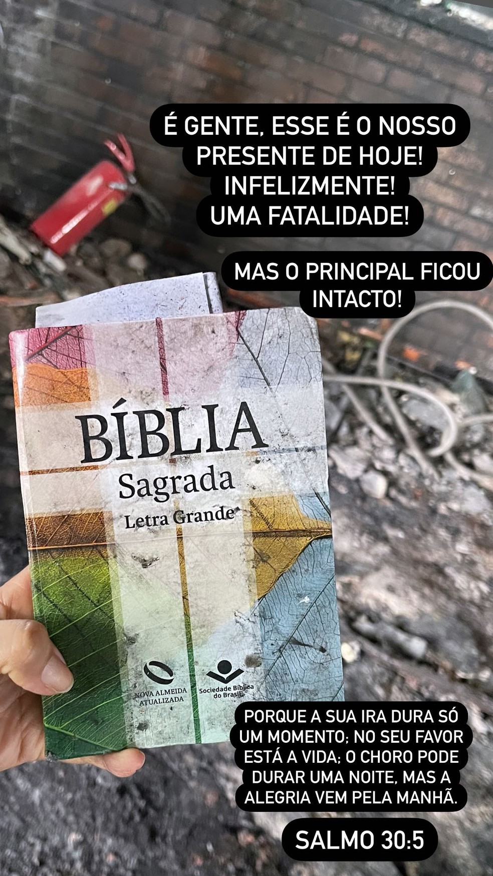 Bíblia achada em churrascaria destruída por incêndio em Manaus — Foto: Divulgação
