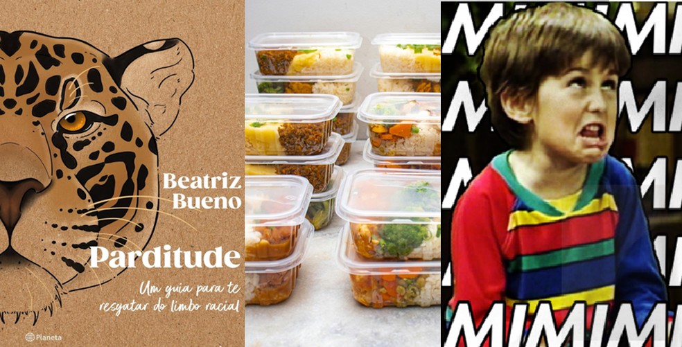 Parditude, marmitório e mi-mi-mi podem entrar no vocabulário oficial da língua portuguesa — Foto: Editora Planeta/Freepik/Reprodução/Redes sociais