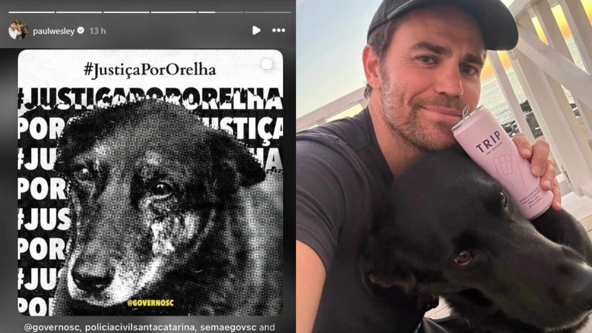 Ator de 'Vampire Diaries' compartilha post sobre morte do cão Orelha