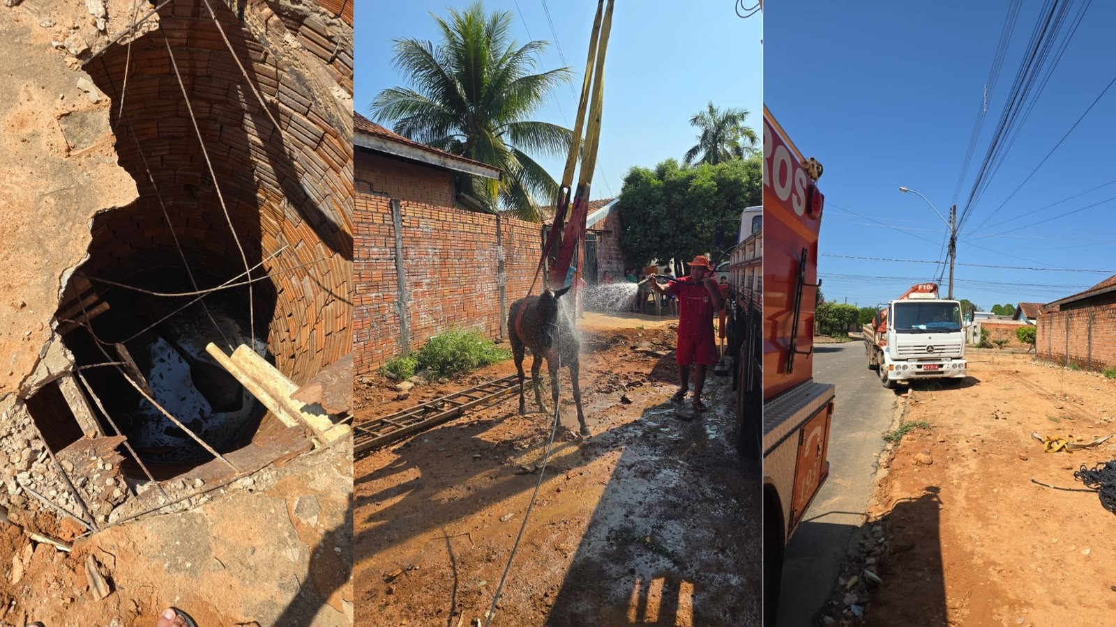 Égua cai em fossa e fica presa por oito horas antes de ser resgatada por bombeiros em RO