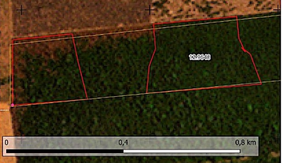 Imagens de satélites da reserva ambiental em agosto de 2023 — Foto: Batalhão de Policia Ambiental de Rondônia/Site