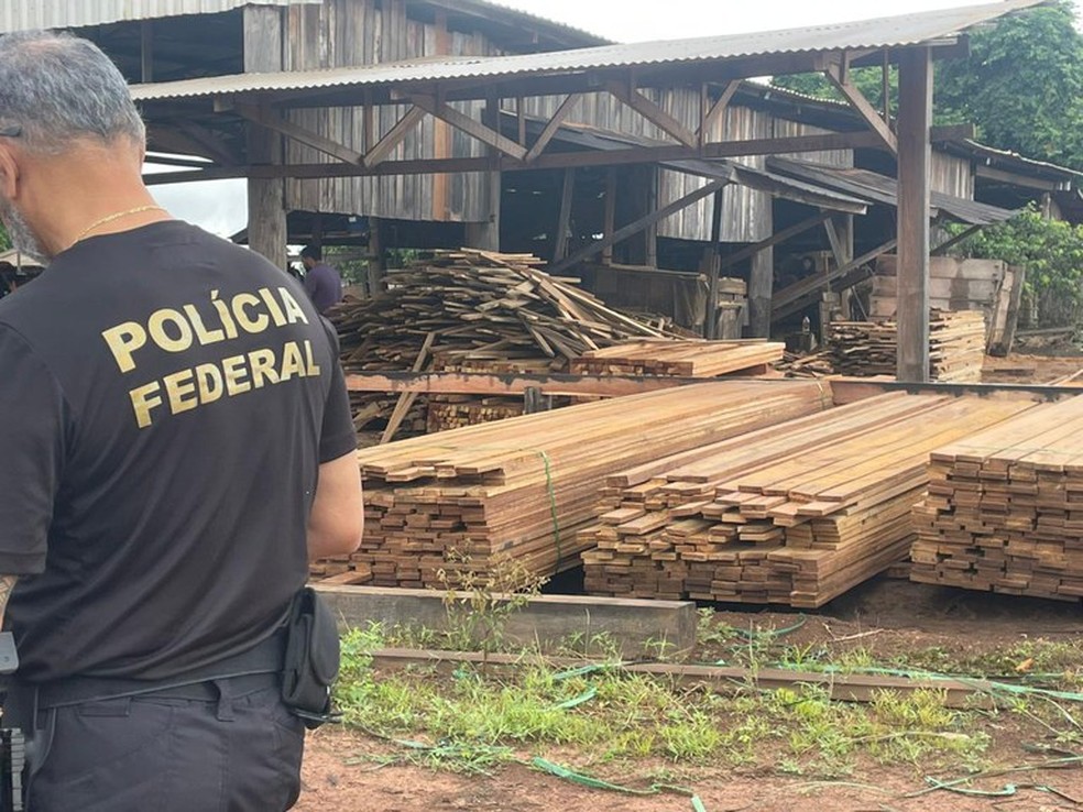 Agente da PF durante o cumprimento do mandado — Foto: PF