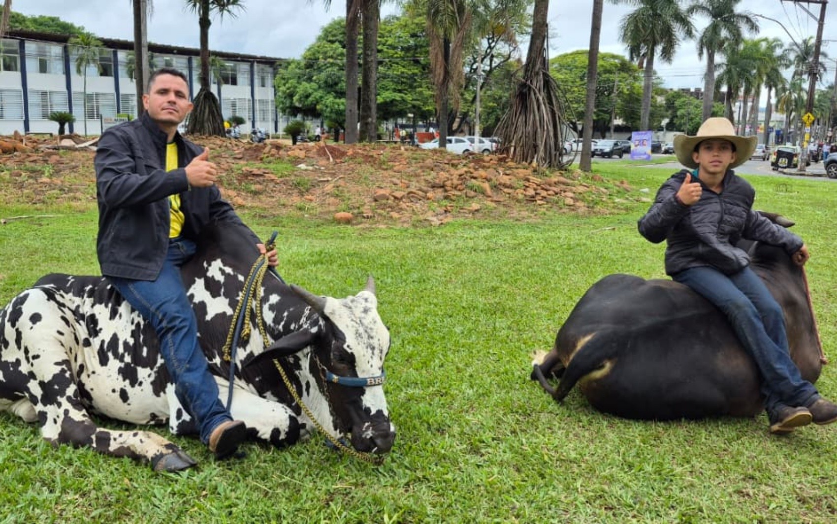 Eleitor chega a seção eleitoral montado em boi e chama atenção no Sul de Minas