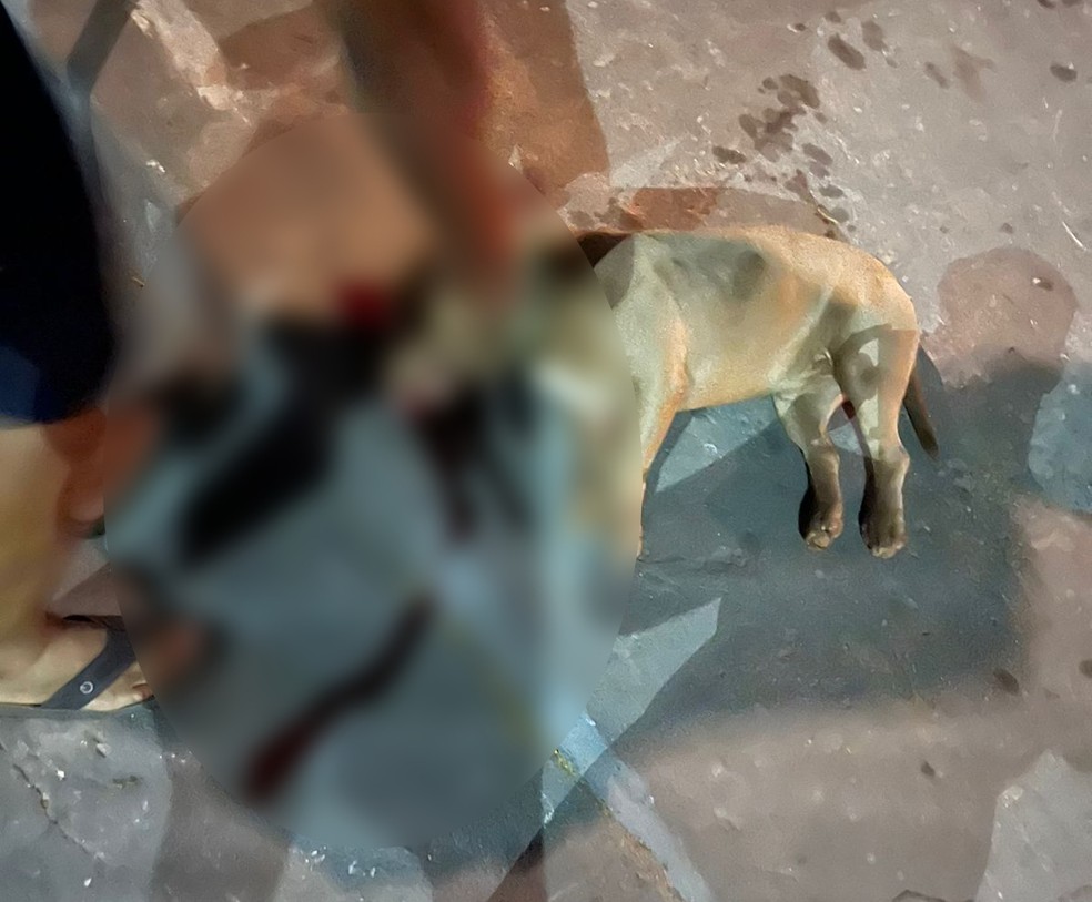 O g1 tenta contato com o suspeito. — Foto: Reprodução