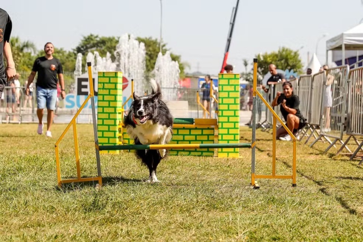Festcão Suzano deve reunir mais de 5 mil pessoas neste domingo