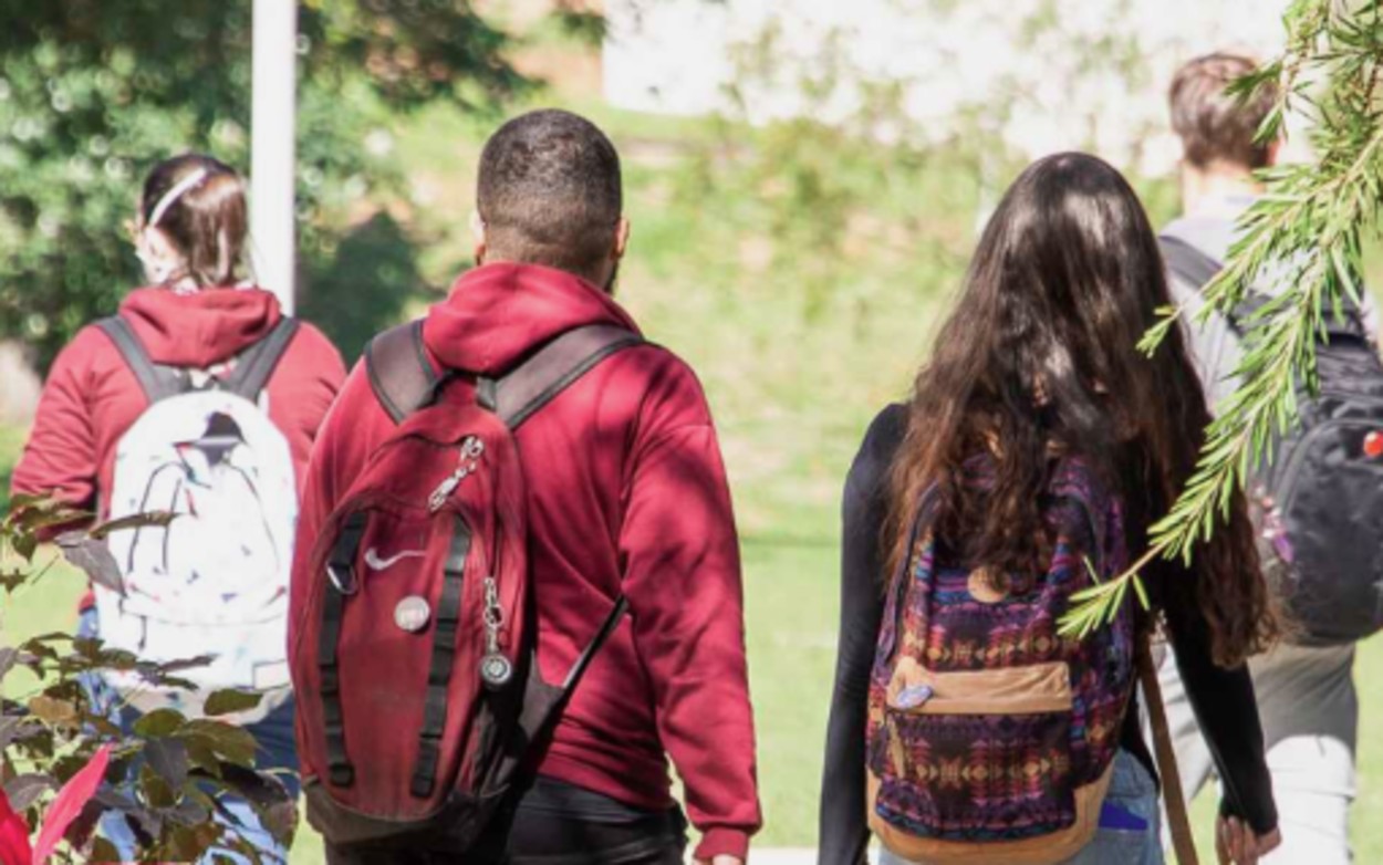 Unesp 2027: plataforma reúne dados de 138 cursos de graduação, moradia e auxílios