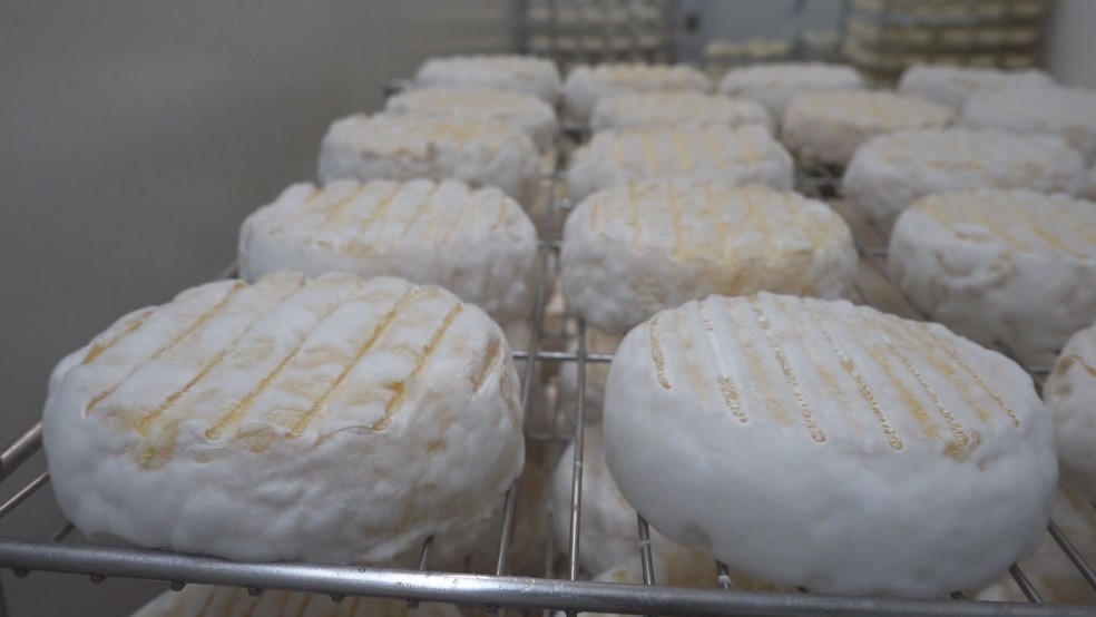 Camembert, queijo francês produzido também no Sul de Minas — Foto: Devanir Gino/EPTV