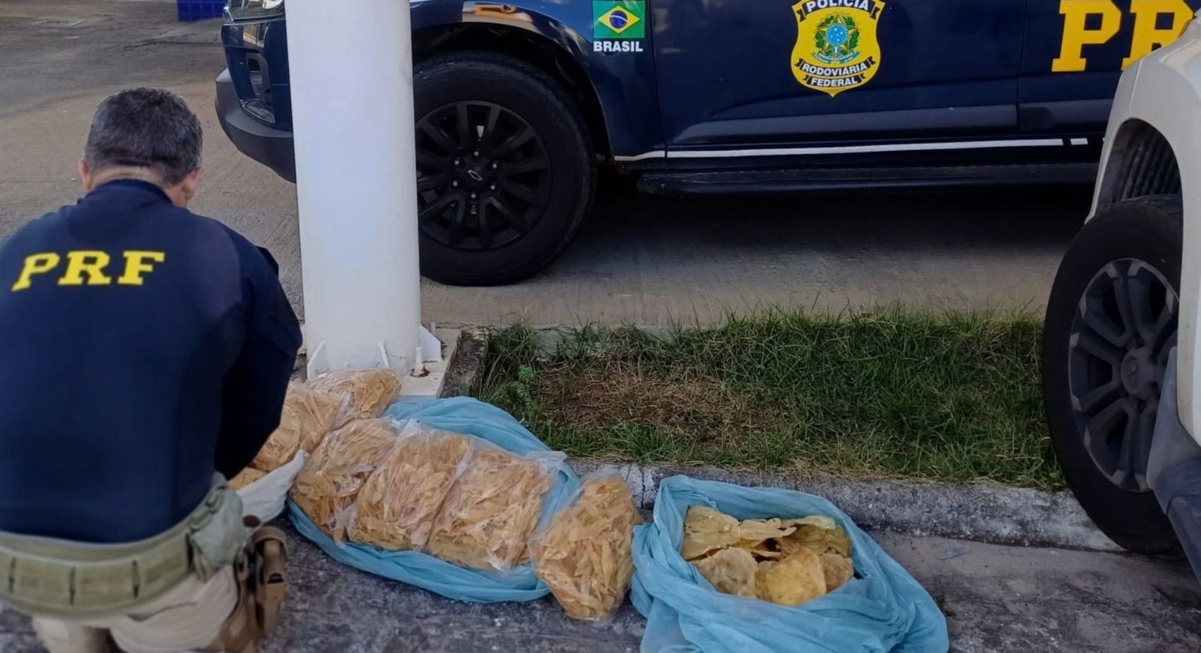 Homem é preso ao transportar carga irregular de pescados em Estância | G1