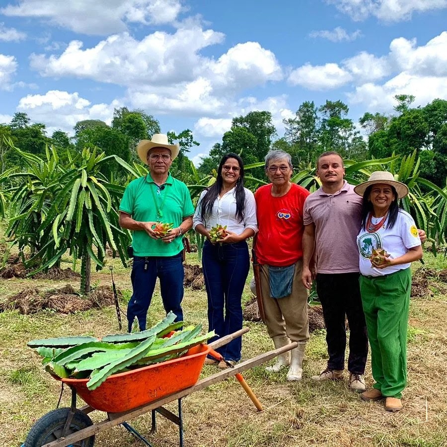 Rede Transformar prorroga inscrições para seleção de projetos de proteção do bioma Amazônico