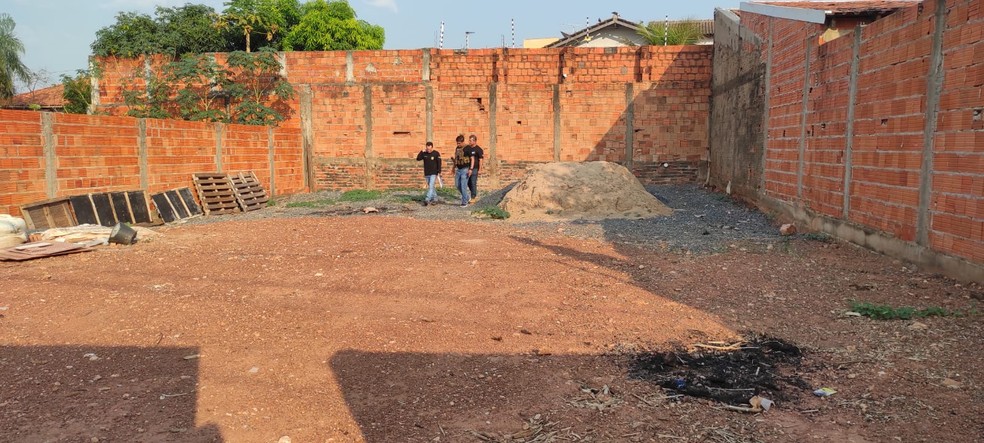 Polícia Civil também pediu o sequestro de 32 veículos de luxo — Foto: Polícia Civil