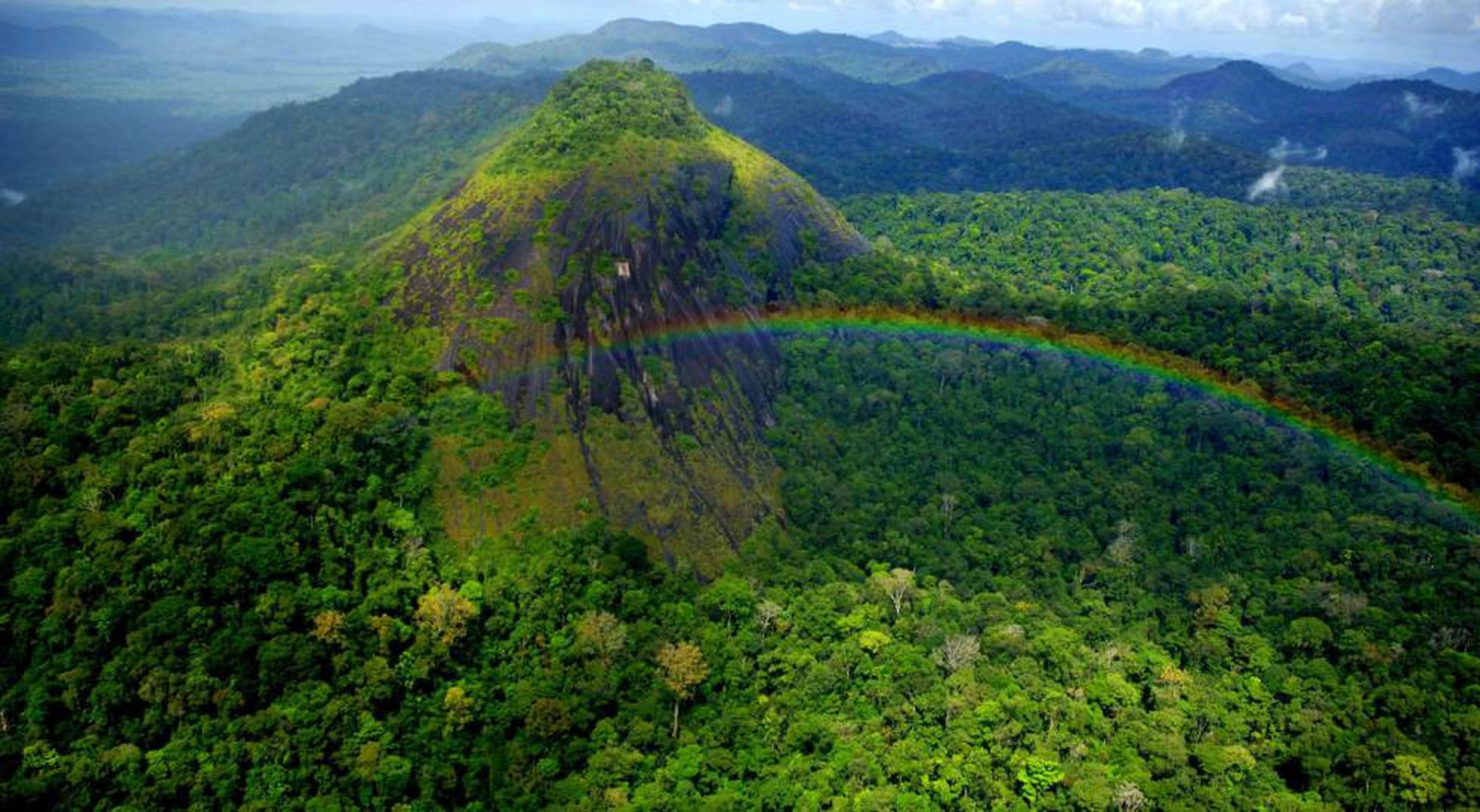 Amapá tem 20 unidades de conservação, que correspondem a cerca de 50% da área do estado; entenda diferença entre elas