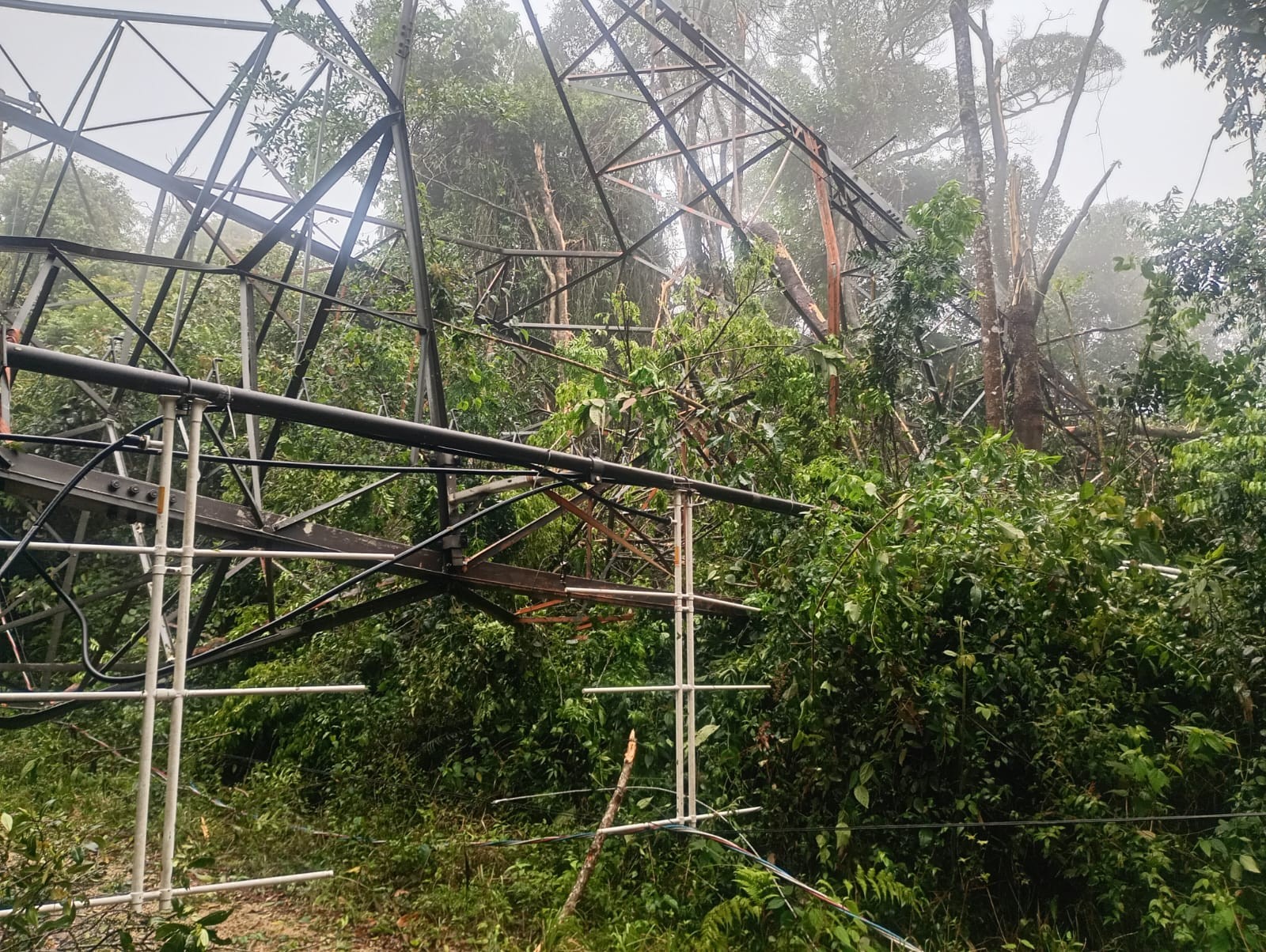 Torre com quase 100 metros cai durante temporal em São Roque; veja estragos na cidade