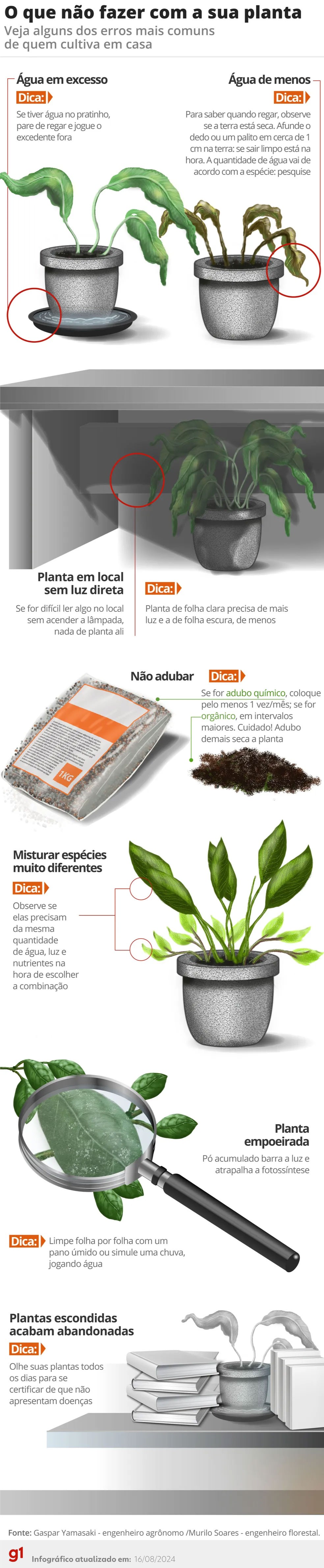 O que não fazer com a sua planta. — Foto: g1