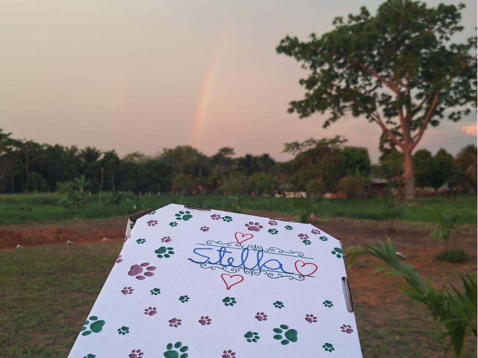 Cemitério de pets retoma atividades após regularização ambiental em Rio Branco