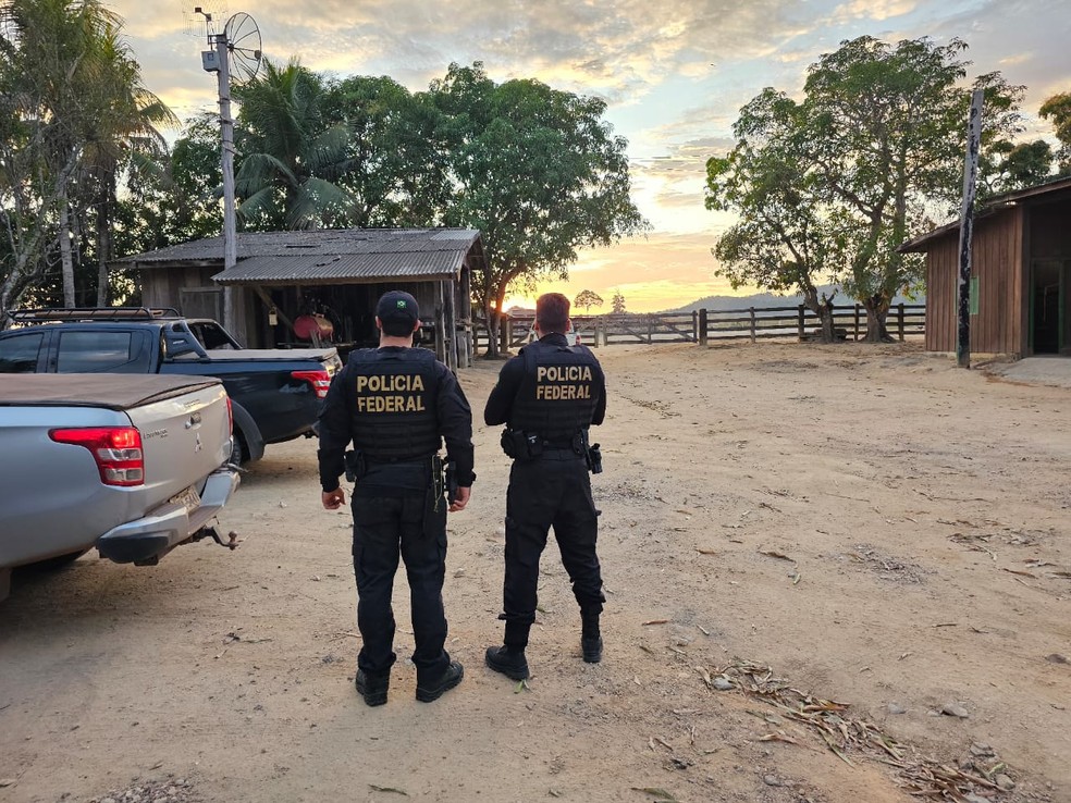 Operação da PF cumpre mandados no Pará e Mato Grosso. — Foto: Ascom PF-PA
