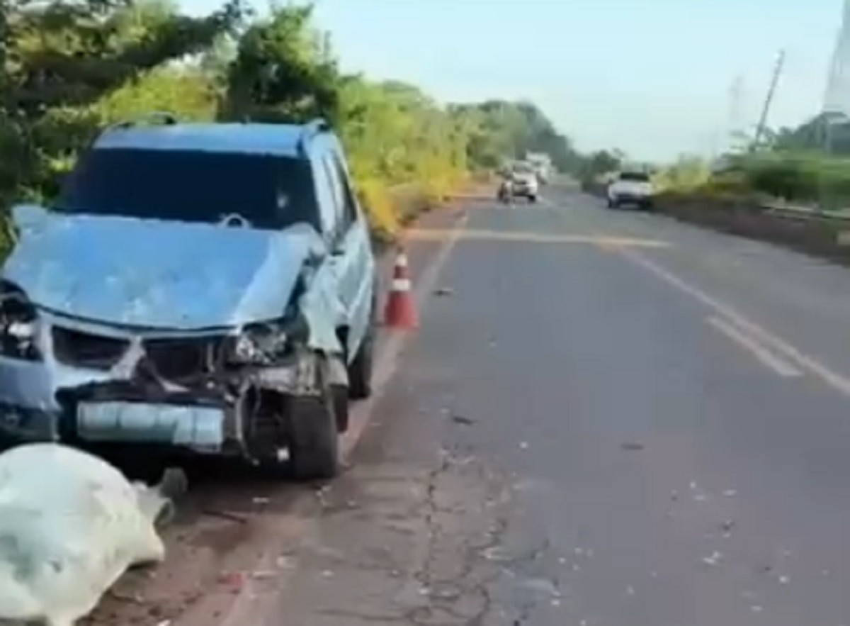Caminhonete bate em gado e mata 4 animais na PA-257; motorista é detido por embriaguez em Juruti