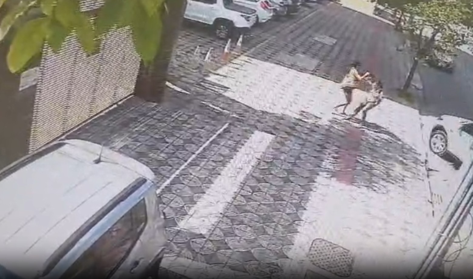 Vídeos flagram mulher agredindo pedestres em ruas de BH