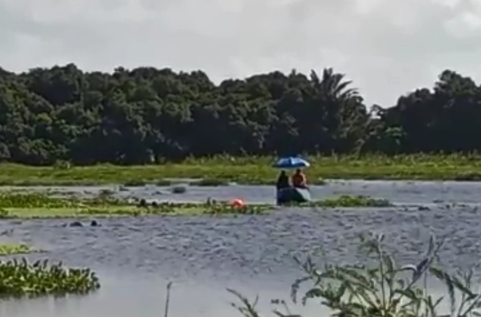 Lagoa Anequim, em Goianinha, onde o pescador desapareceu; buscas feitas pelo Corpo de Bombeiros — Foto: Divulgação