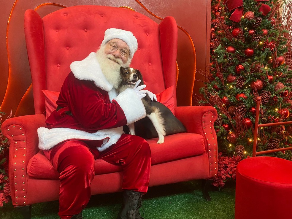 Shopping Frei Caneca celebra natal pet — Foto: Divulgação