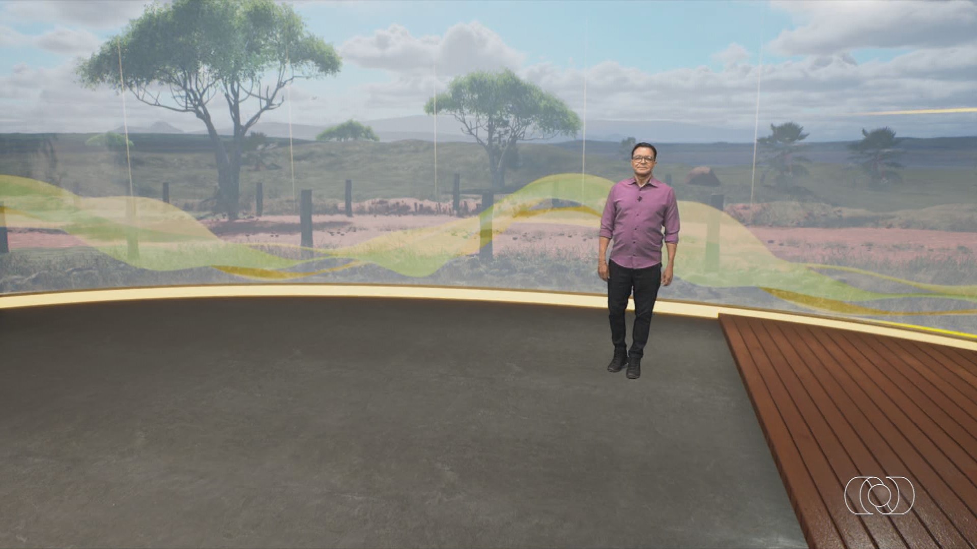 VÍDEOS: Jornal do Campo deste domingo, 16 de novembro de 2025 