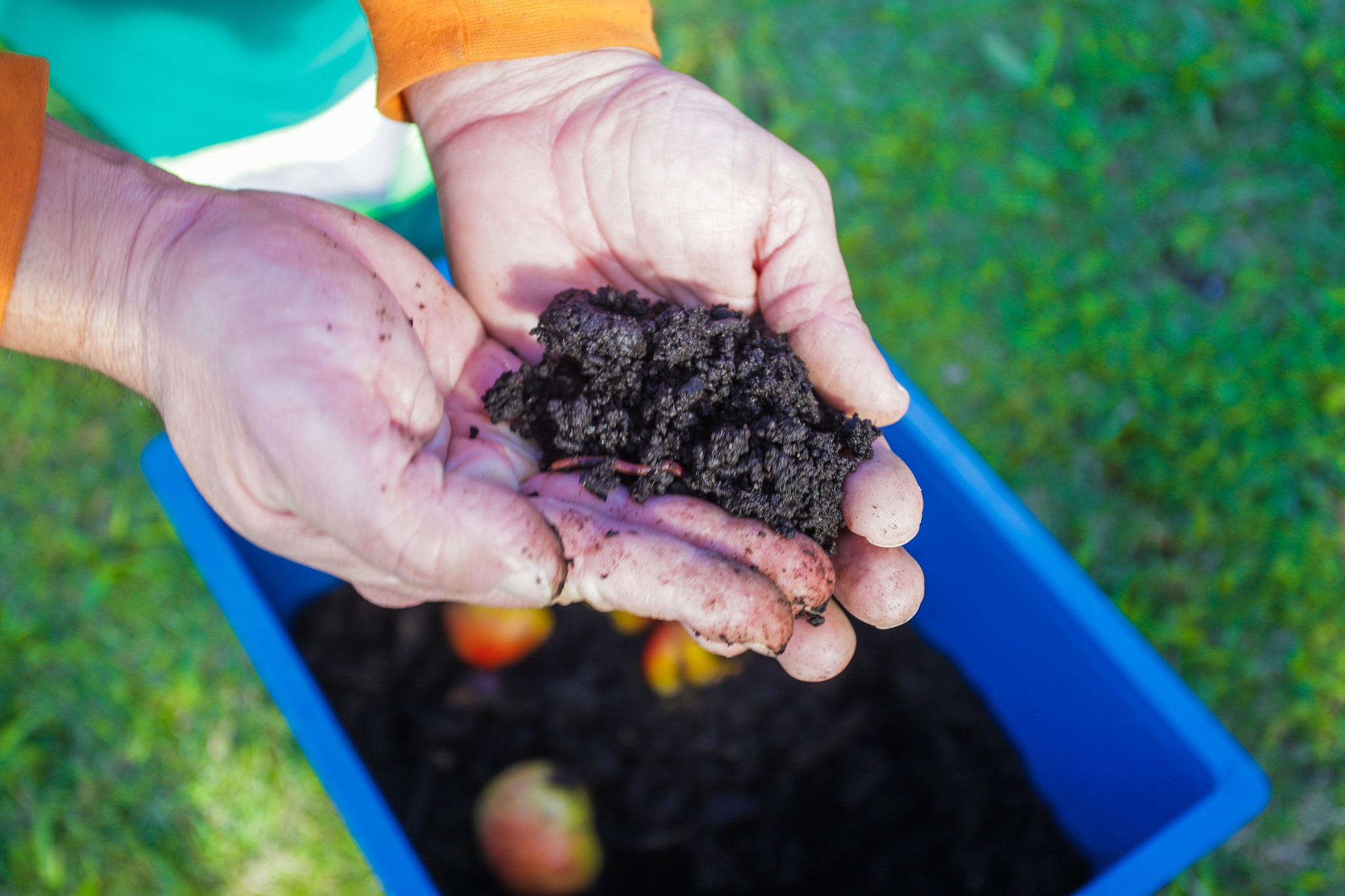Programa Minhoca na Cabeça desvia 900 toneladas de resíduos do aterro