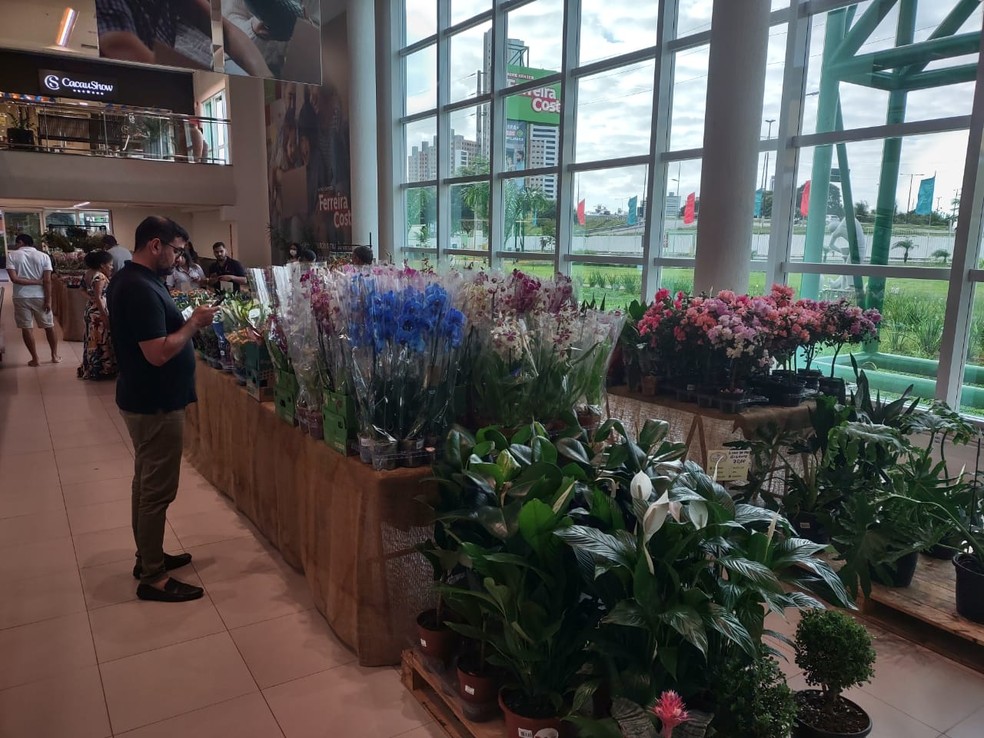 Feira de flores de Holambra reúne mais de 200 espécies ornamentais em Natal — Foto: Divulgação