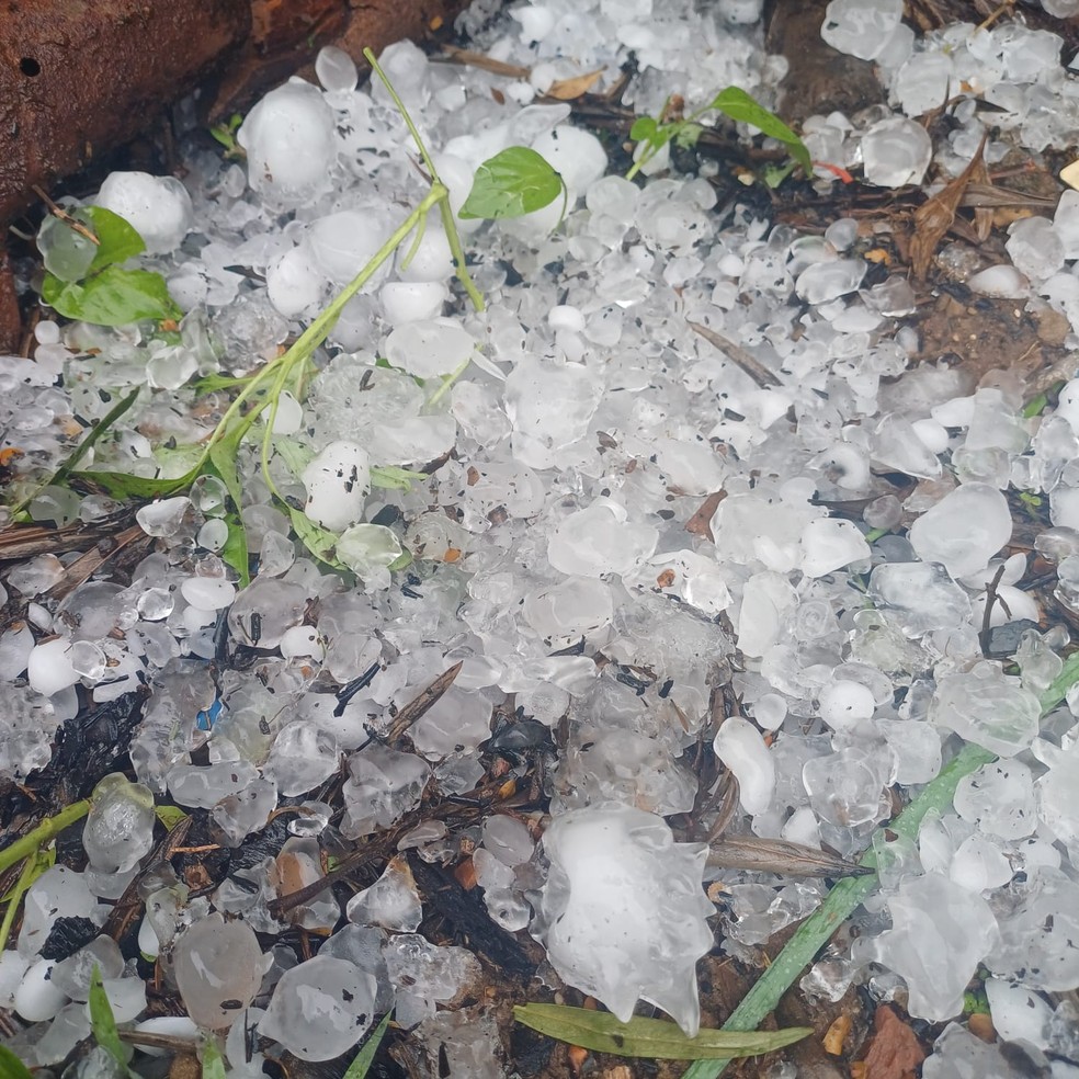 Chuva de granizo atinge região de Presidente Prudente (SP) e causa estragos em bairros e distritos — Foto: Cedida