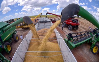 Europa não quer produtos de área desmatada: a soja brasileira está adaptada?
