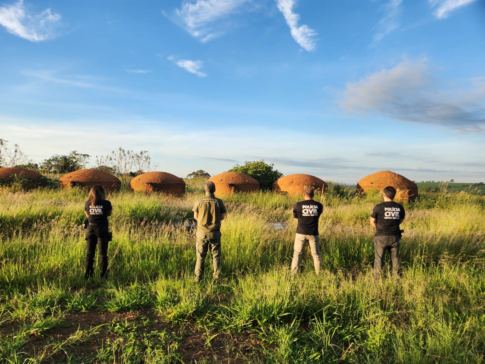 Operação mira esquema de carvão ilegal em MG e leva a bloqueio de R$ 55 milhões