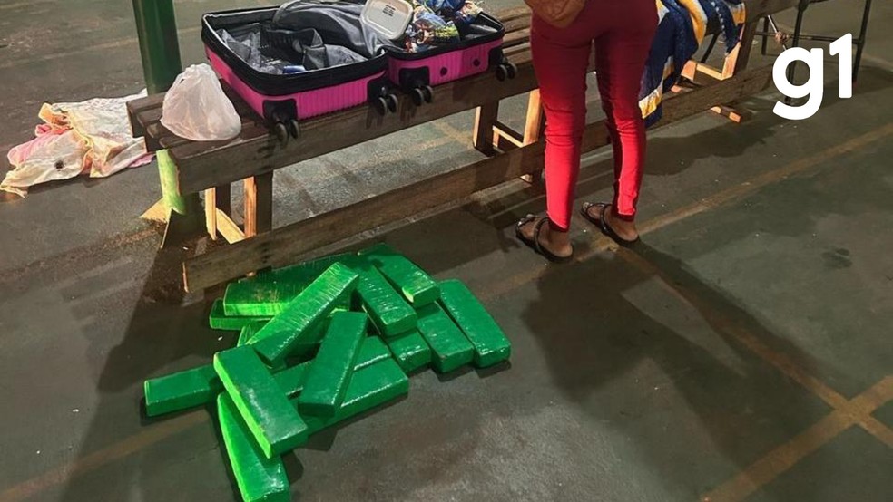 Durante abordagem, a mulher confessou o carregamento dos tabletes de 1 kg cada. — Foto: Polícia Civil
