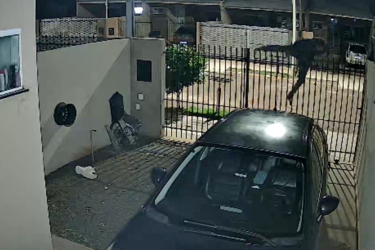 Morador acorda com homem desconhecido dentro de casa, dá socos nele e invasor é encontrado amarrado e morto, no Paraná