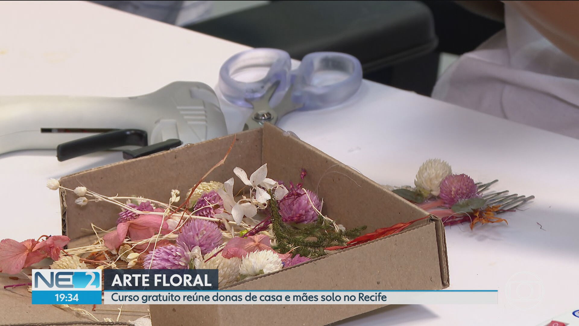 NE2 de sábado, 19 de setembro de 2026