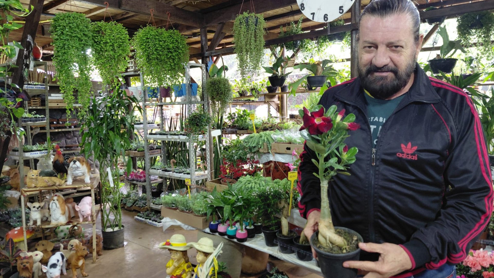 Florista mais antigo do Ceagesp de Bauru celebra 27 anos no mercado e descarta aposentadoria