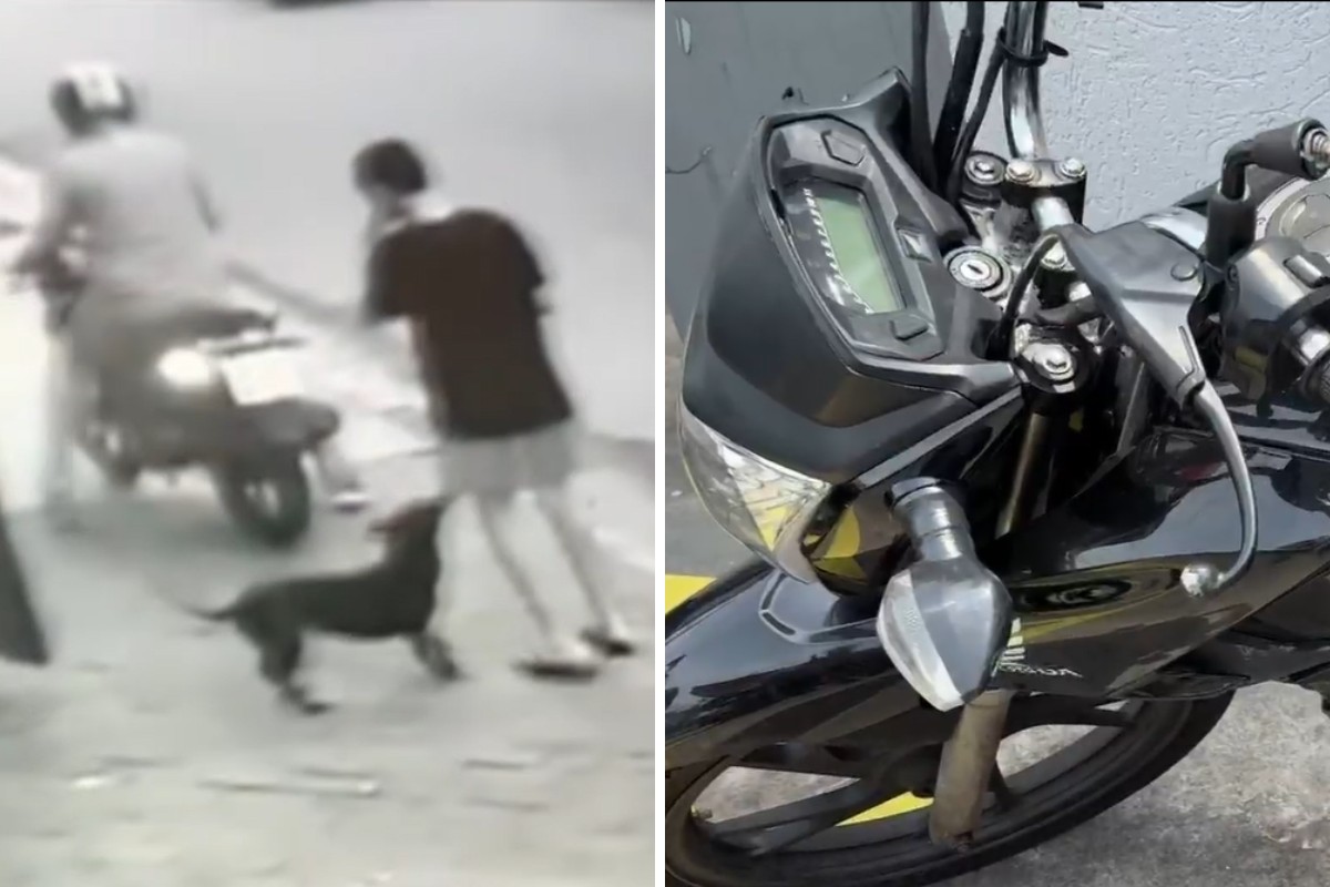 Jovem é baleado na cabeça ao perseguir criminosos que tentaram roubá-lo no litoral de SP; VÍDEO