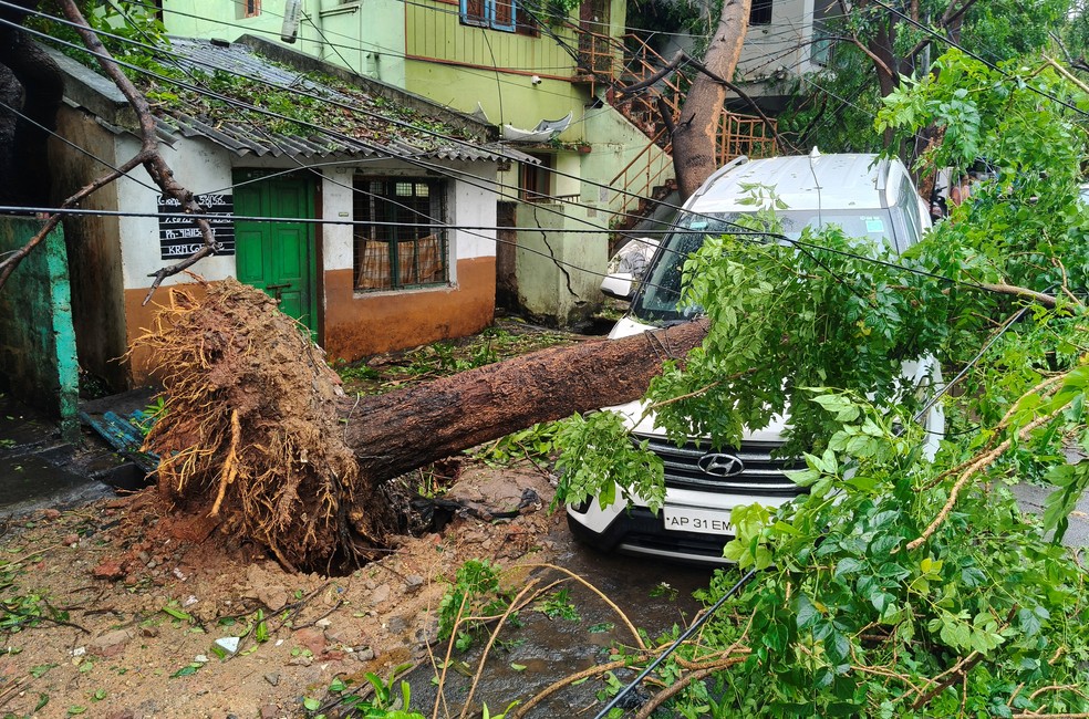 Um veículo danificado pela queda de uma árvore após o ciclone Arnab, em Visakhapatnam, Andhra Pradesh, Índia, em 28 de outubro de 2026 — Foto: REUTERS/Stringer