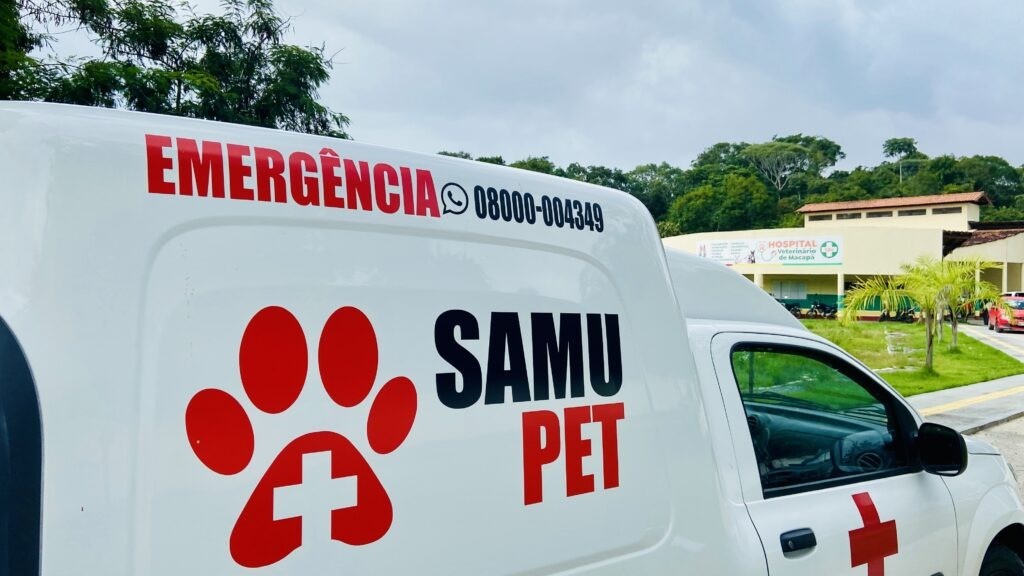 Ambulância para pets passa a funcionar em Macapá de segunda a sexta-feira