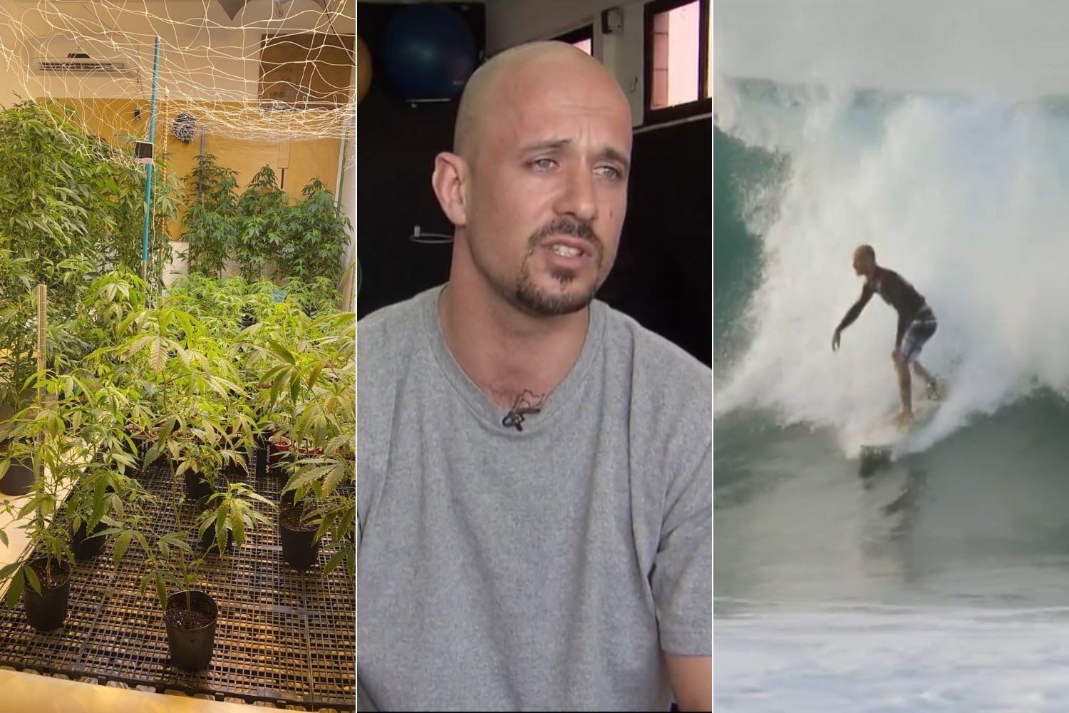 Ex-surfista profissional é preso com plantação de maconha no litoral de SP; VÍDEO