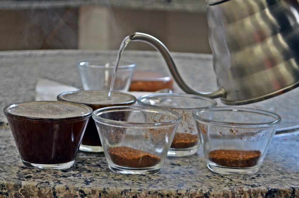 No Pé do Café: Veja as diferenças entre o café Conilon e o Arábica - tudoep