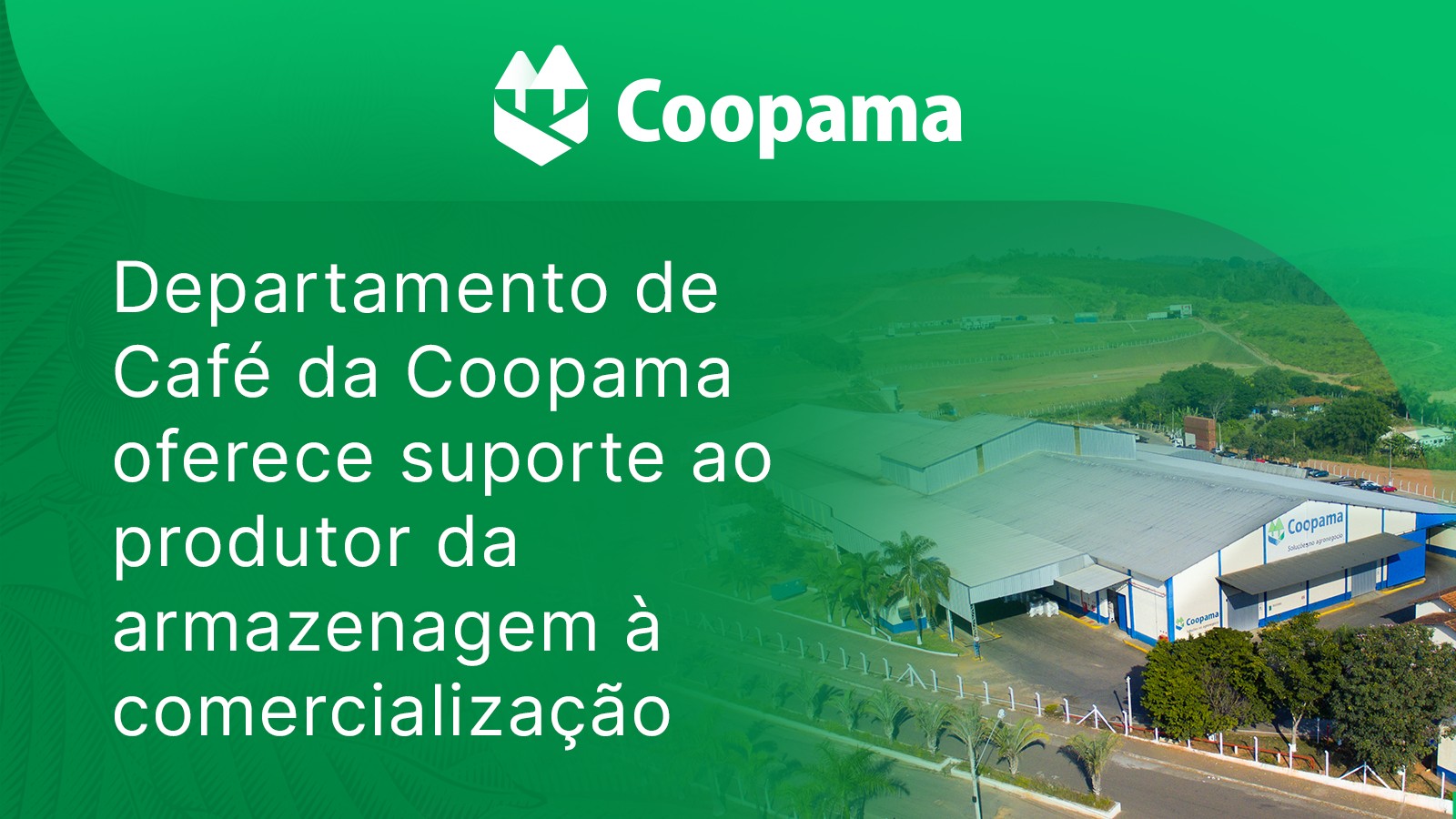 Coopama apoia produtor de café da armazenagem à comercialização