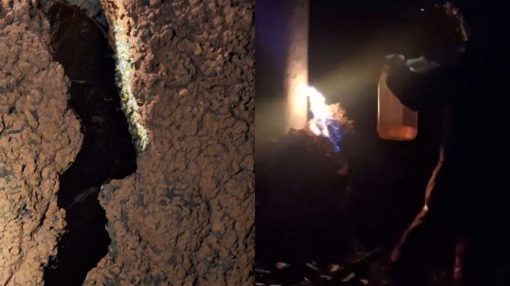 Trabalhador morre após passar mal ao fugir de enxame de abelhas em fazenda de MG