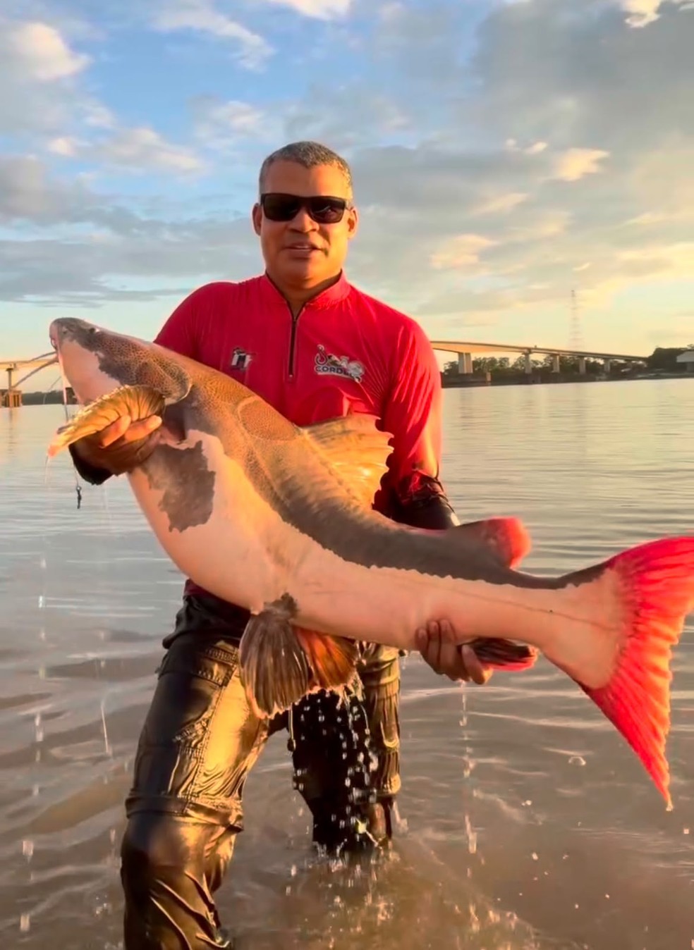 Print da tela feito do momento em que pescador exibe peixe de 40kg em RO &mdash; Foto: Arquivo pessoal