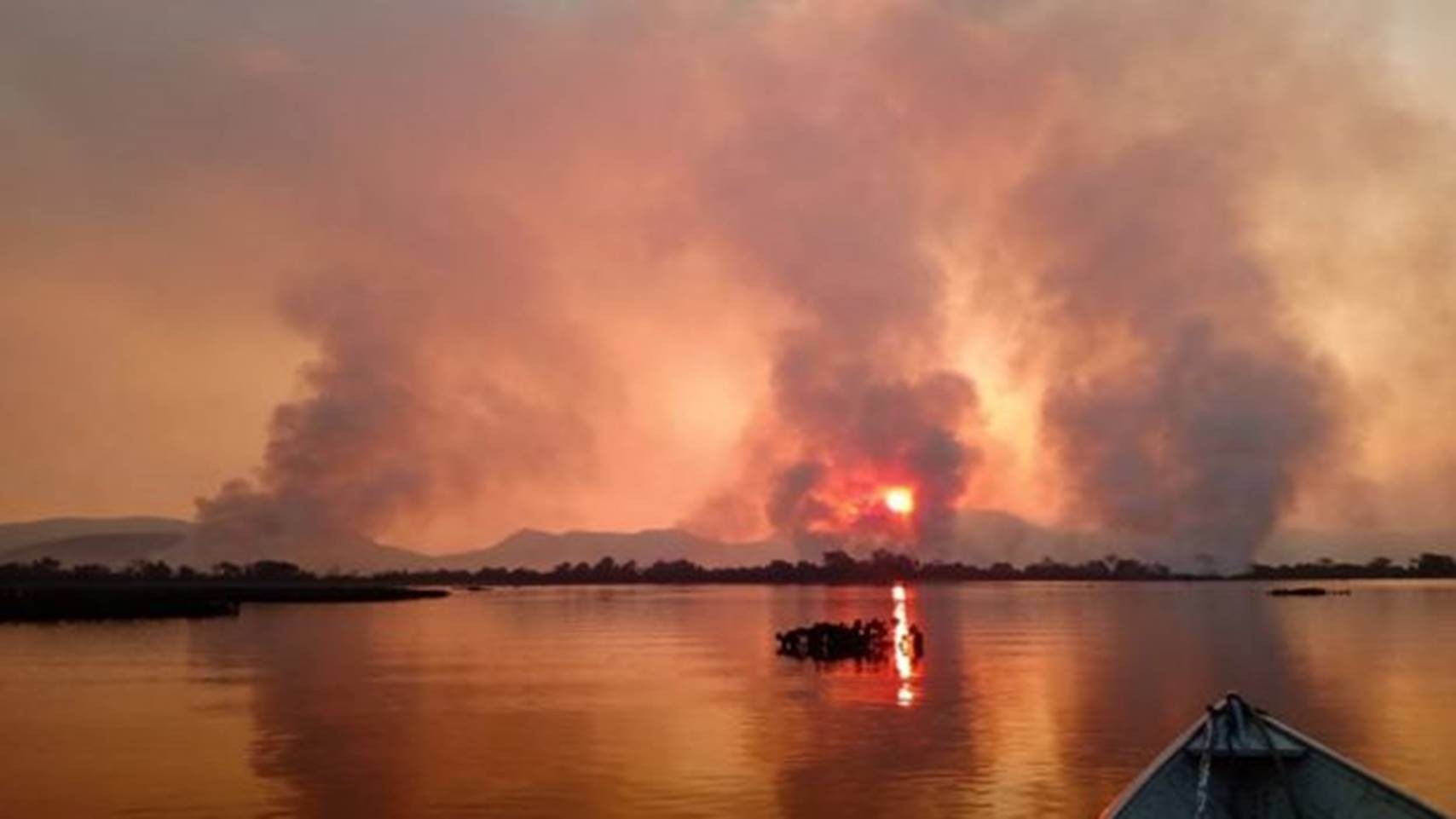 Risco de incêndios: União declara estado de emergência ambiental em MS e outros estados brasileiros