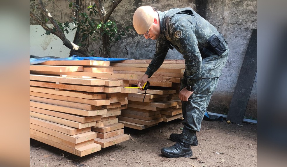 Dono de empresa de móveis é multado em R$ 2 mil por falta de licença para madeira nativa em Presidente Prudente — Foto: Policia Militar Ambiental/Divulgação