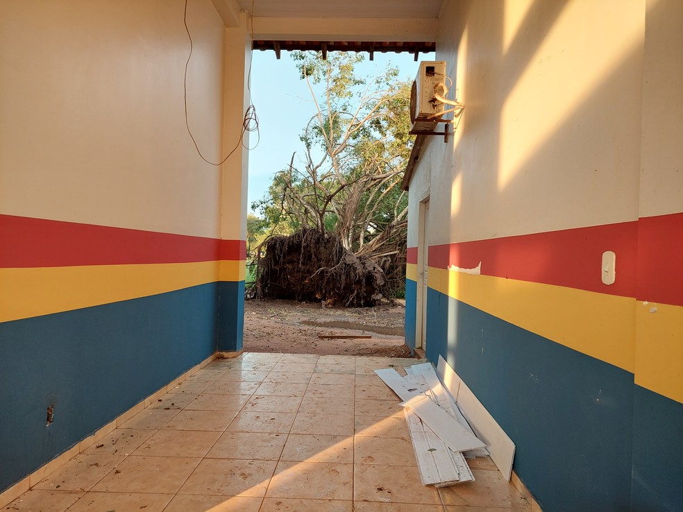 Árvore em escola caiu durante temporal em Guajará-Mirim — Foto: Késia Fernanda/Rede Amazônica