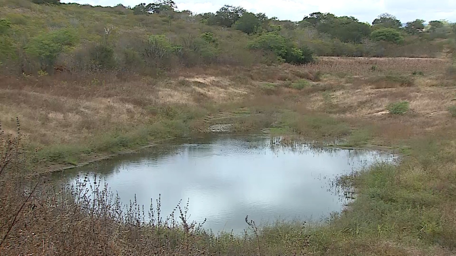 Governo Federal reconhece situação de emergência em cidades do Agreste e Sertão de PE que enfrentam estiagem