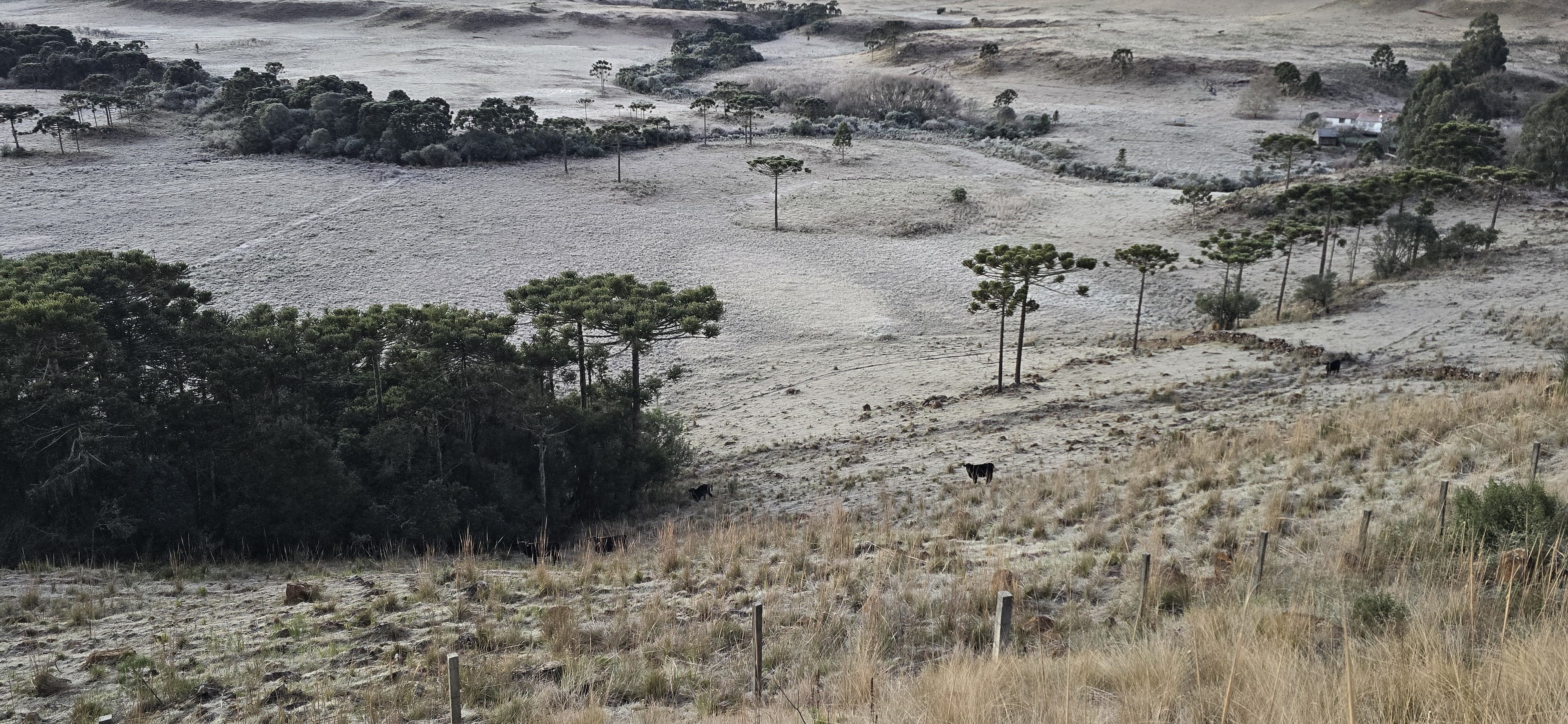 SC amanhece com campos cobertos por geada, chafariz congelado e mínima de -7,7ºC