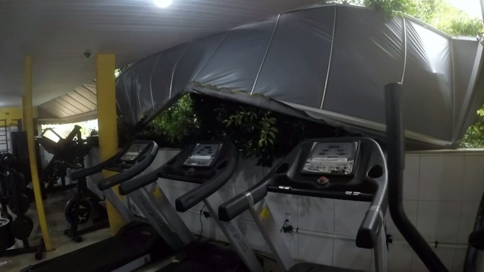 Árvore caiu e atingiu academia no bairro de Ondina, em Salvador — Foto: TV Bahia